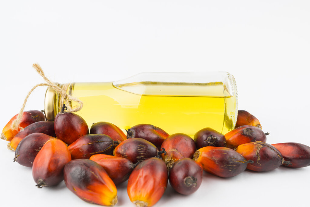 RBD Palm Oil