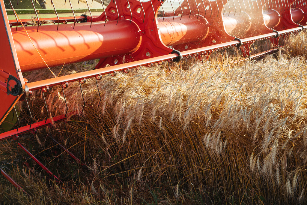 Milling Wheat